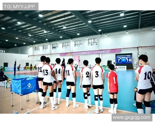 上海排球队的精神之旅:探索排球背后的团队意识与文化魅力